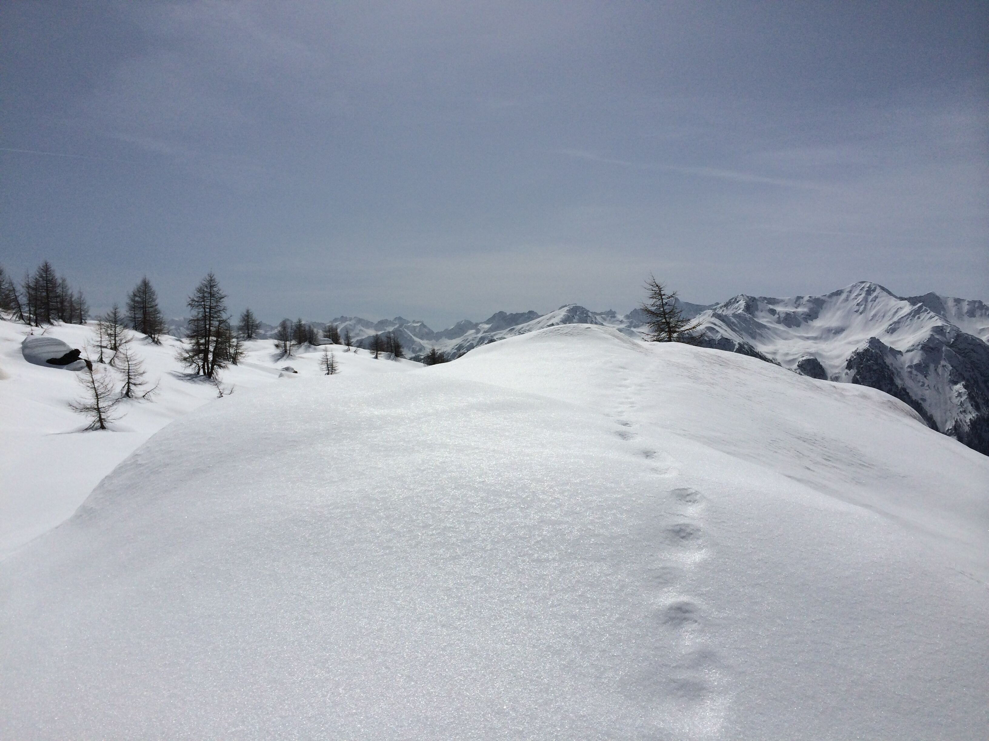 IMMERSI NELLA NATURA<img src='/assets/images/heart.png' class='heart ml-4' /><br /><span>Nel Parco Nazionale dello Stelvio</span>